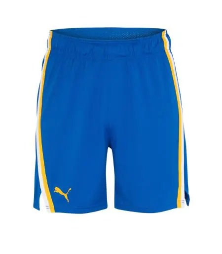 Official Adult Blue Game Shorts 2024-25