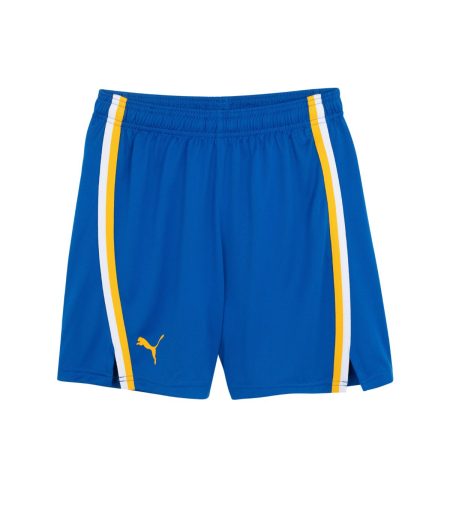 Official Kids Blue Game Shorts 2024-25