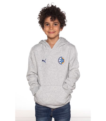 Puma Kids Grey Hoodie 2024-25