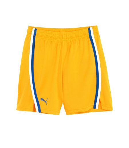 Official Kids Yellow Game Shorts 2024-25